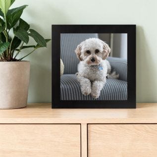 Full-Image-10x10-Square-Print-and-Frame-Black.jpg