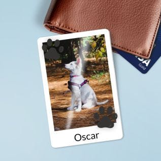 Ali_credit_card_Dog.jpg
