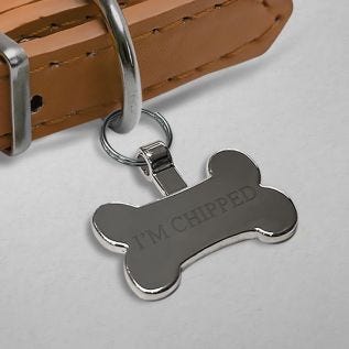 Bone Personalised Pet Tag