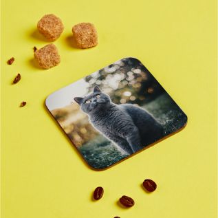 Wooden Photo Coasters