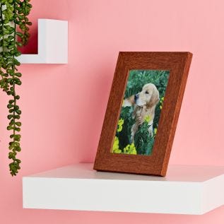 Harriet Framed Photo Print