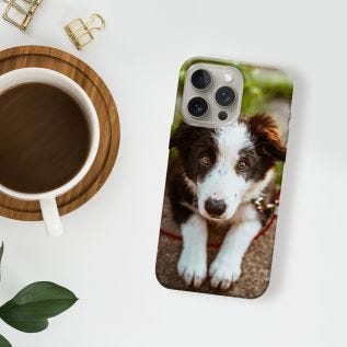 iPhone 15 Pro Case