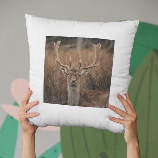 Same-Day Suede Photo Cushion 