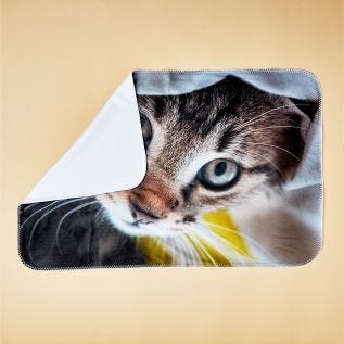 Small Photo Blanket