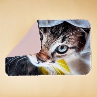 Large Photo Blanket