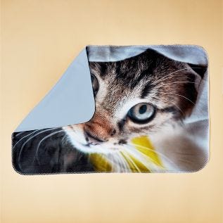 Medium Photo Blanket